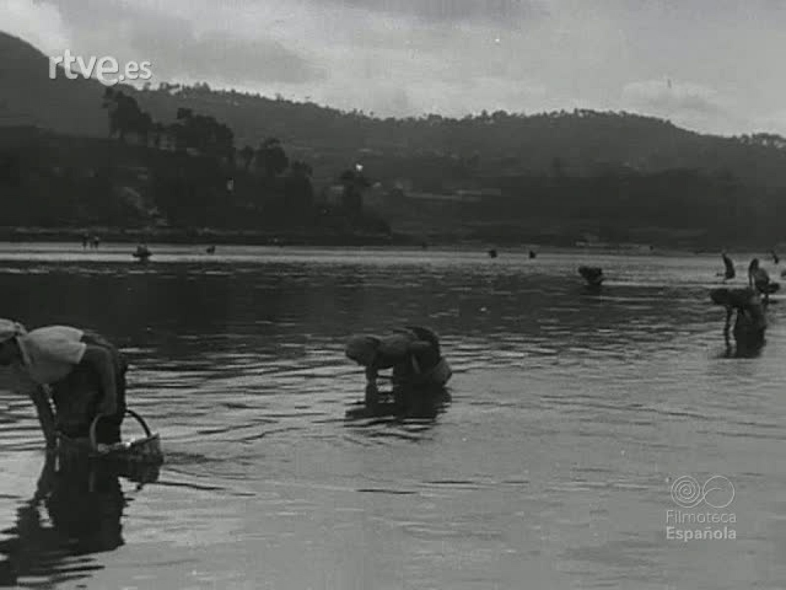 NOT N 671 B - NO-DO | Ver