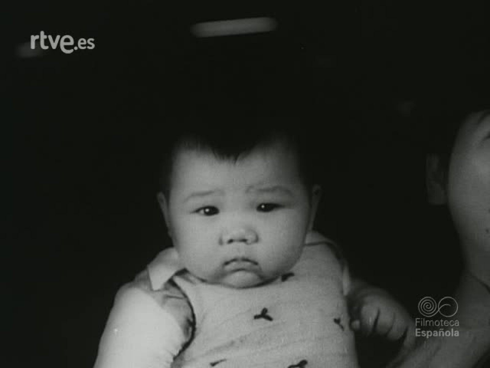 NOT N 590 B - NO-DO | Ver