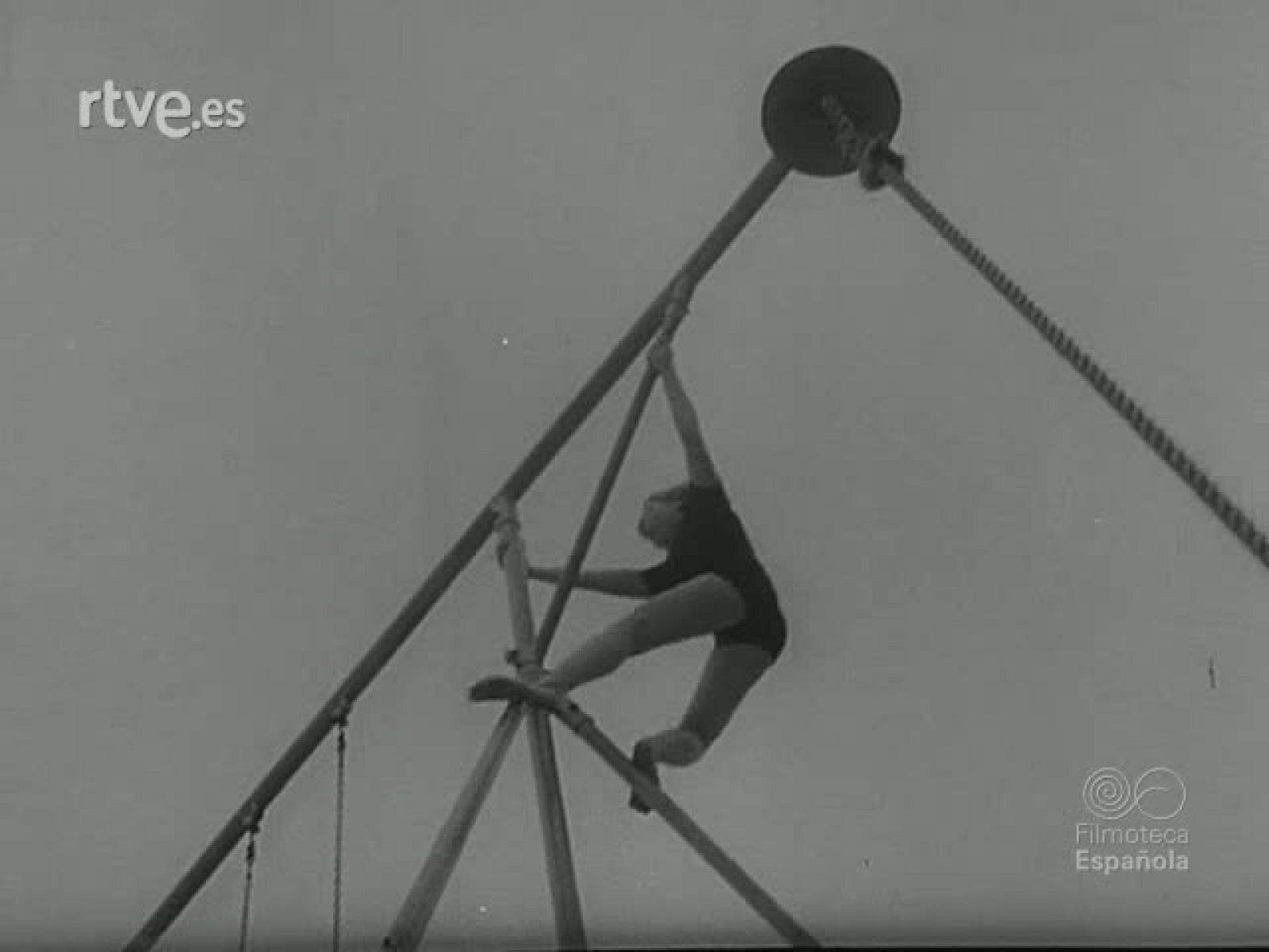 NOT N 593 A - NO-DO | Ver