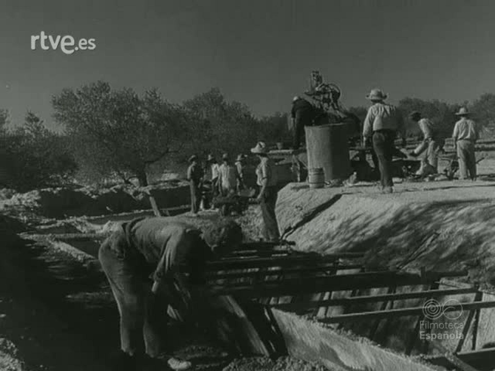 NOT N 982 C - NO-DO | Ver