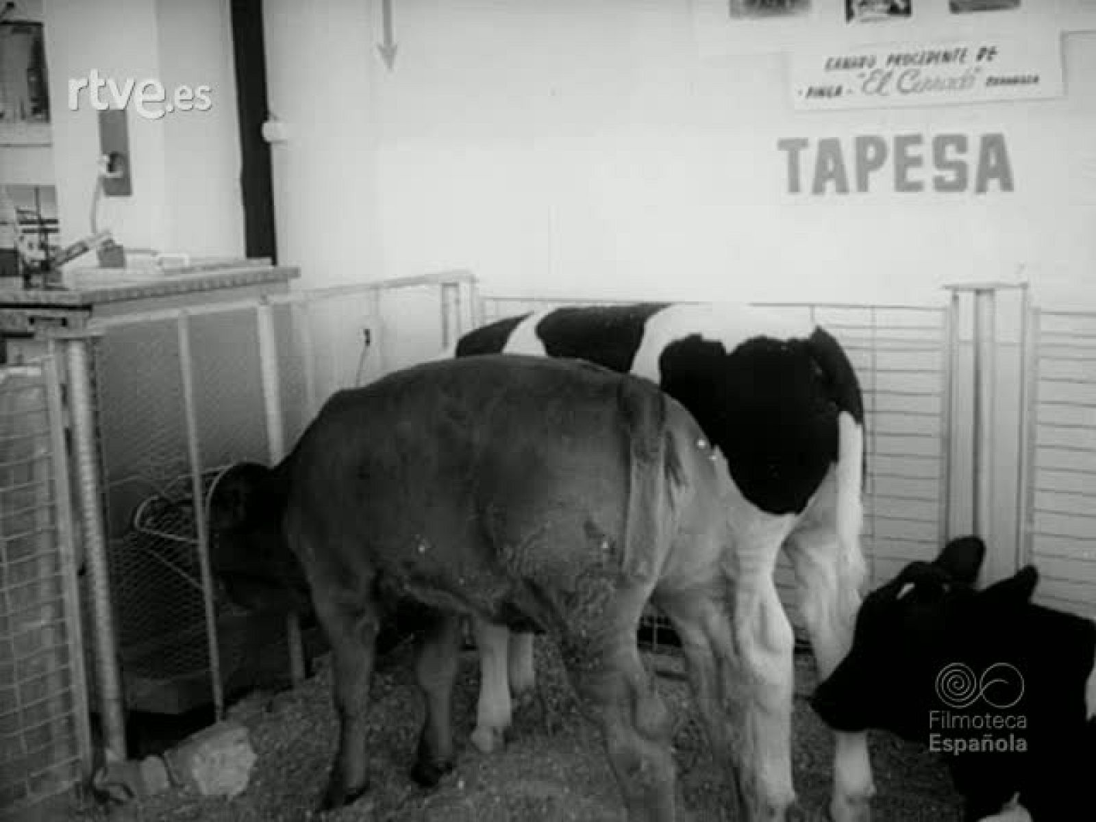 NOT N 1399 B - NO-DO | Ver