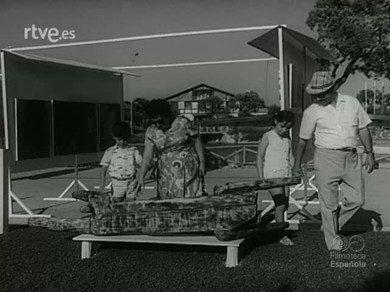 NOT N 1493 B - NO-DO | Ver