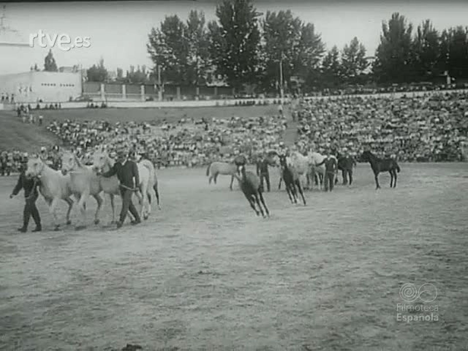 Filmoteca -  en RTVE Play