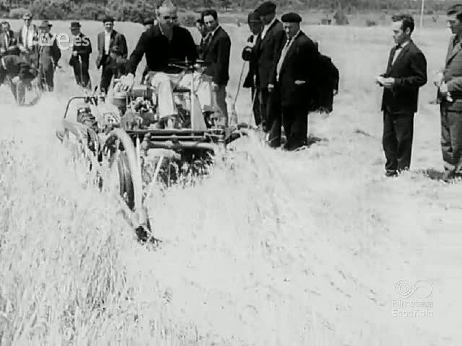 NOT N 1385 B - NO-DO | Ver