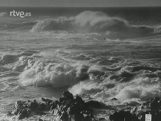 NO-DO - NOT N 1495 B