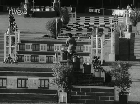 NO-DO - NOT N 1429 B