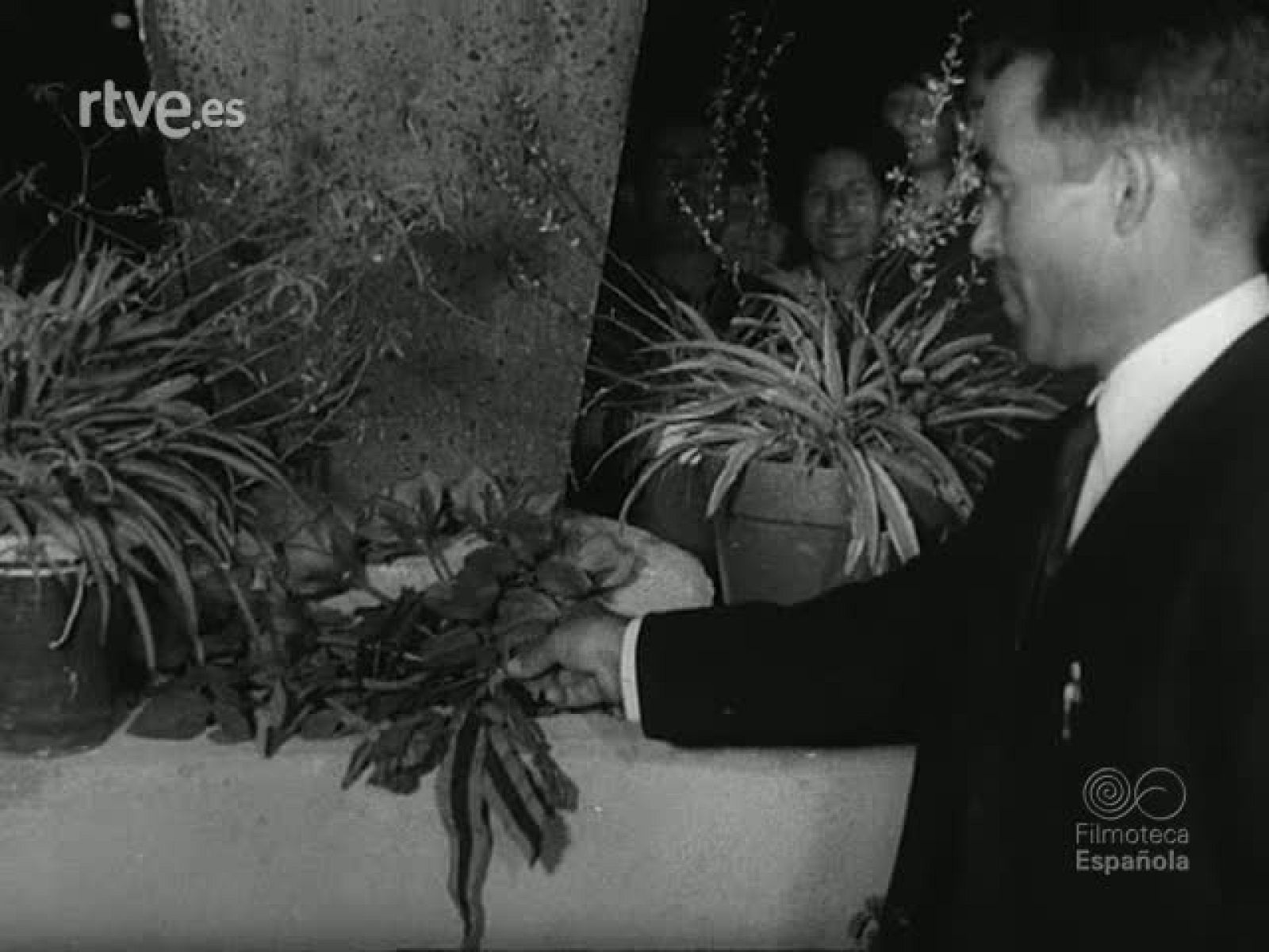 NOT N 1390 A - NO-DO | Ver