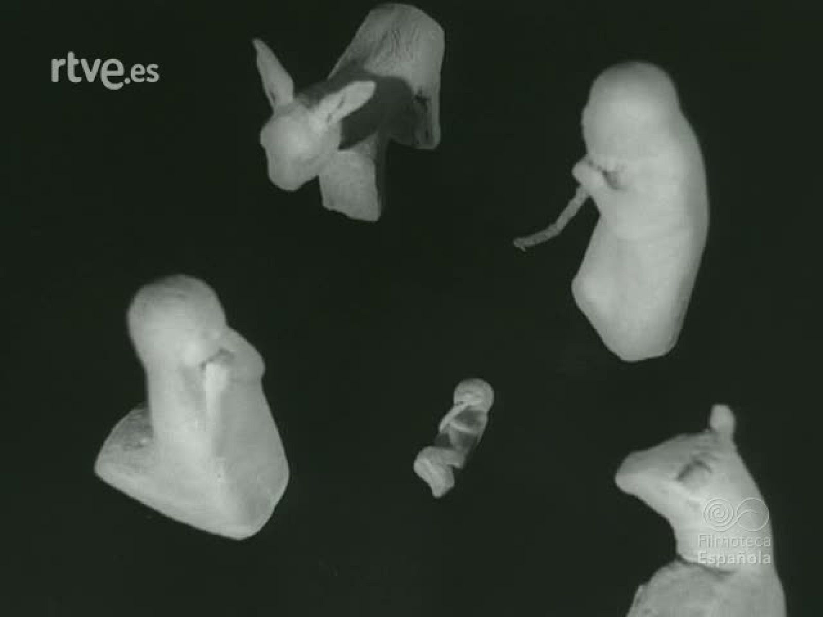 NOT N 887 B - NO-DO | Ver