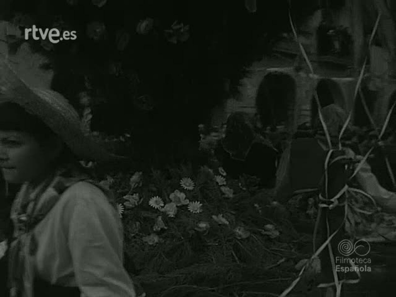 NOT N 793 B - NO-DO | Ver