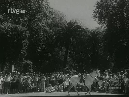 NO-DO - NOT N 1426 A