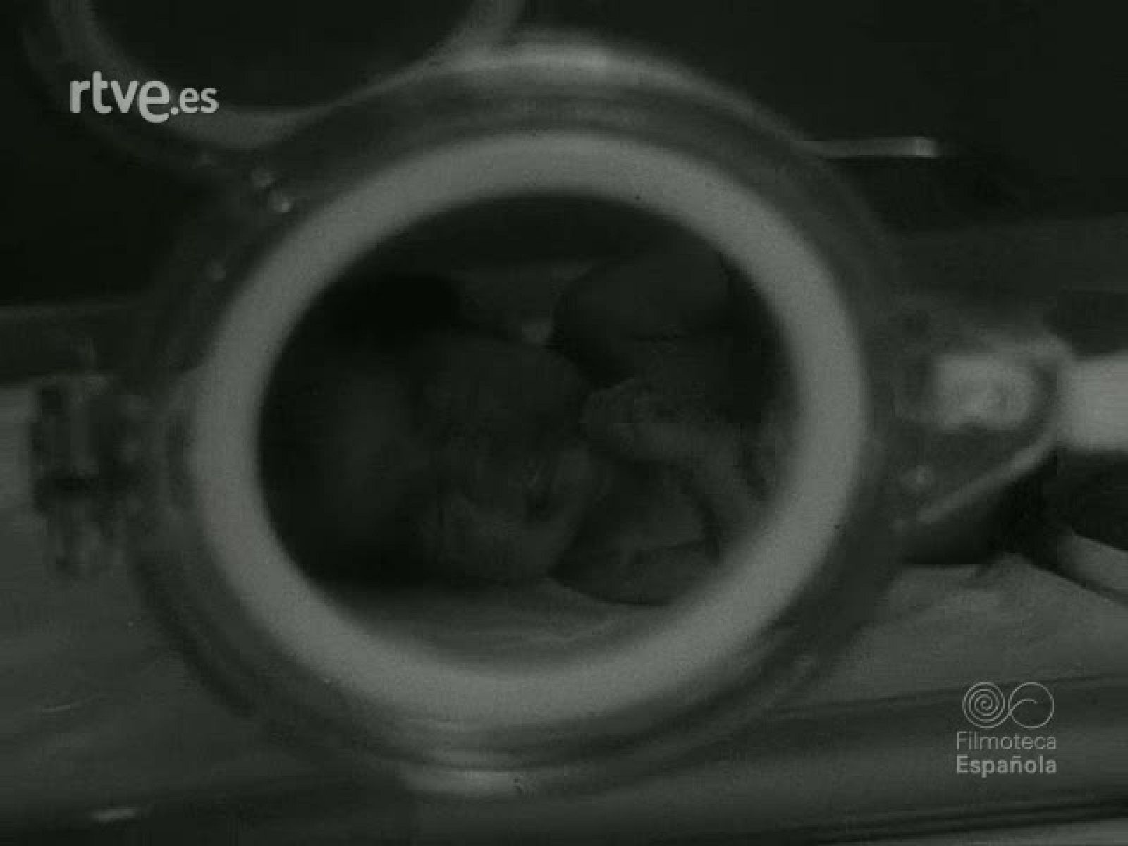 NOT N 1404 B - NO-DO | Ver