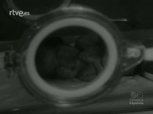 NO-DO - NOT N 1404 B