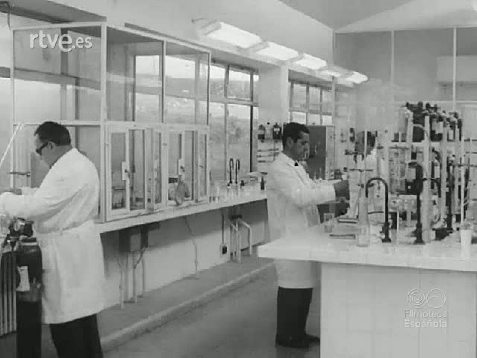 NOT N 1376 A - NO-DO | Ver