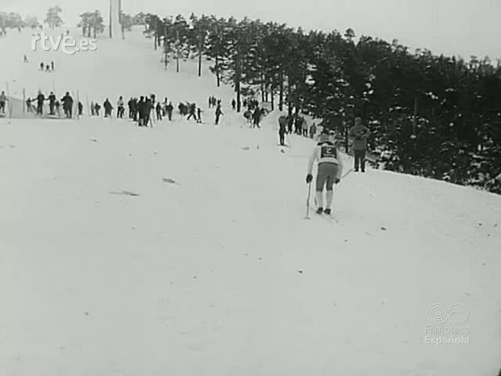 NOT N 1523 A - NO-DO | Ver