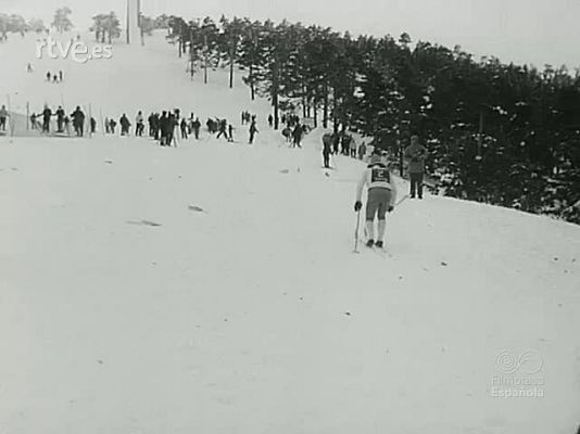 NO-DO - NOT N 1523 A