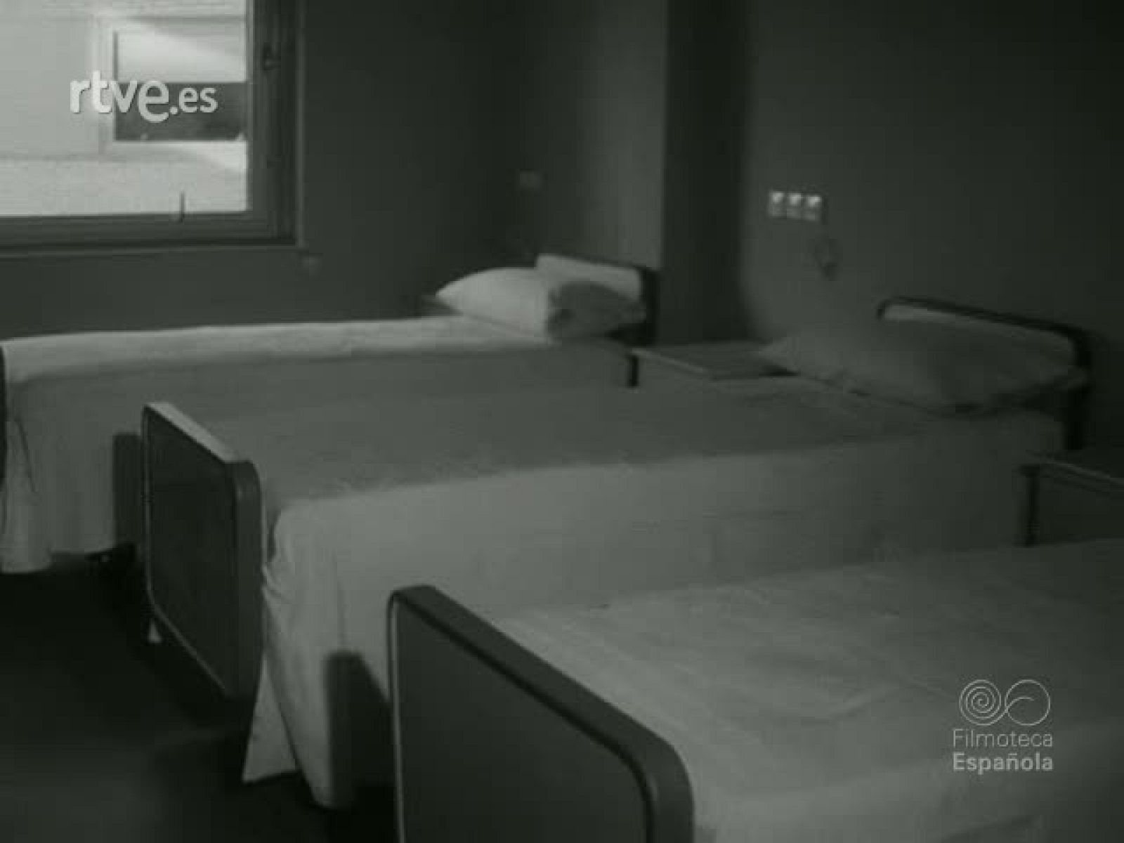 NOT N 1333 A - NO-DO | Ver