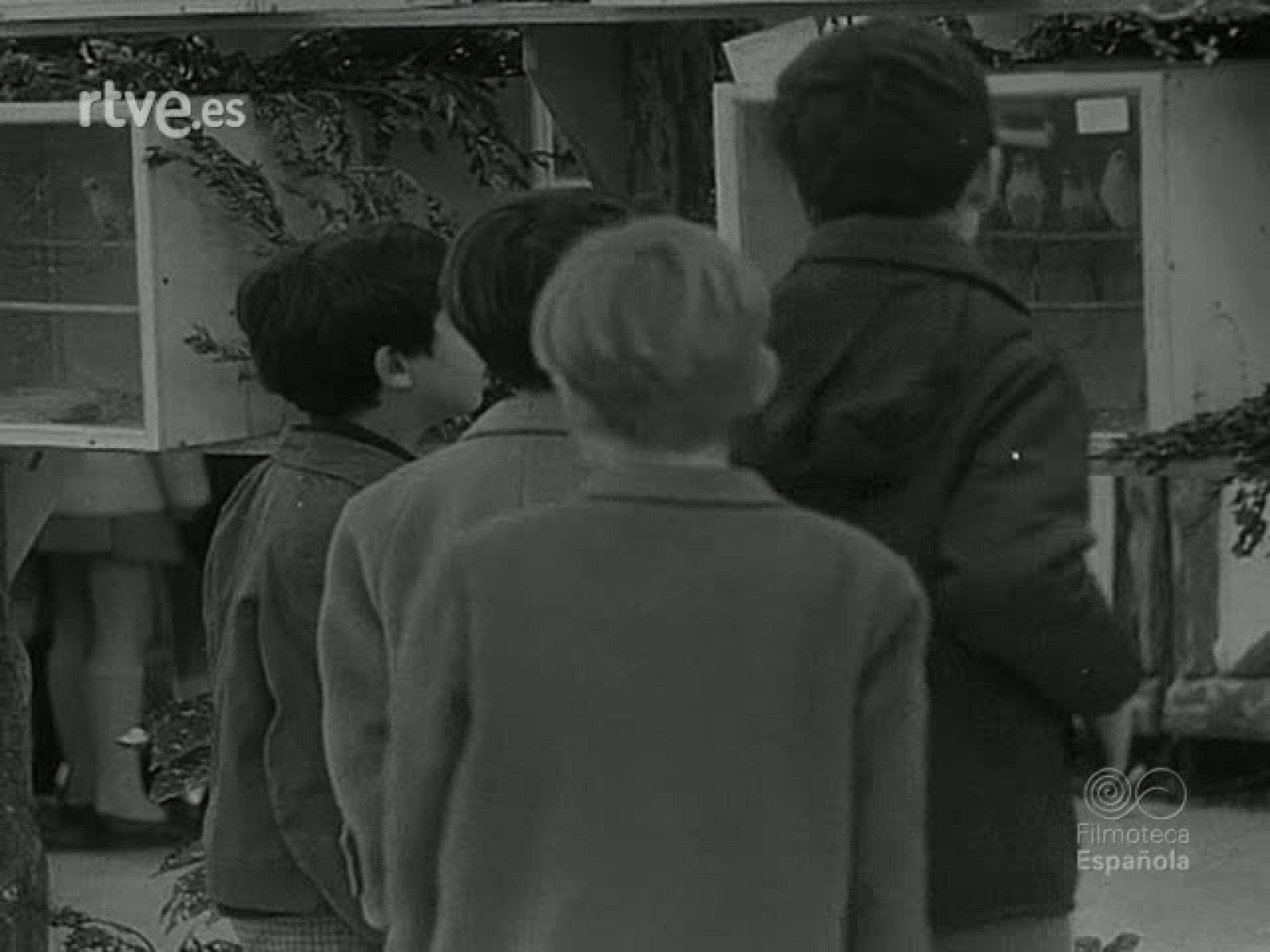 NOT N 1317 B - NO-DO | Ver