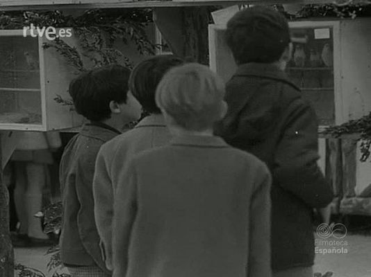 NO-DO - NOT N 1317 B