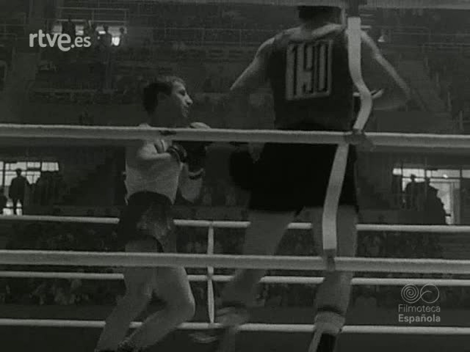 NOT N 1486 B - NO-DO | Ver