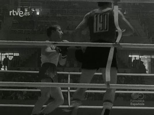 NO-DO - NOT N 1486 B