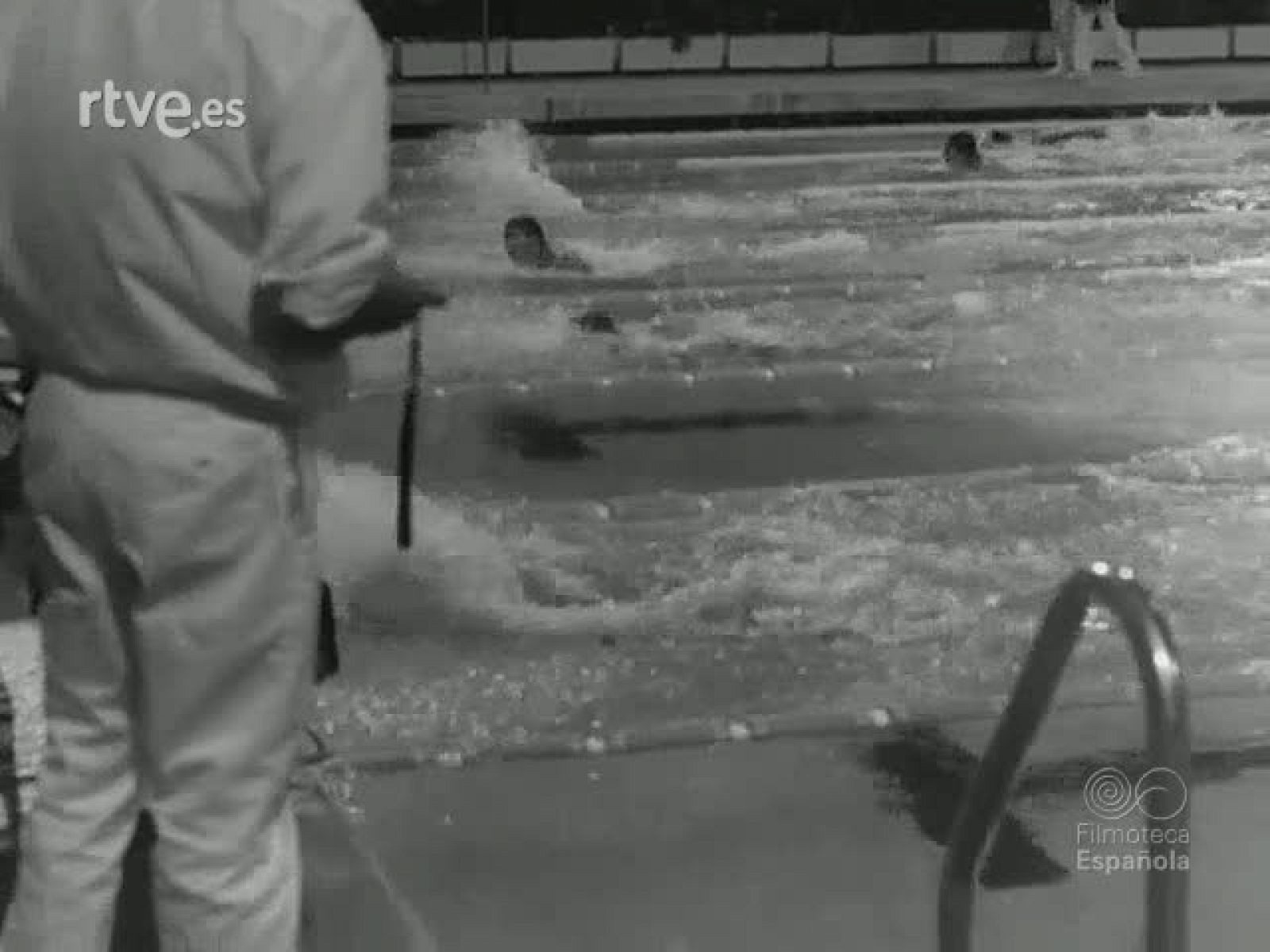 NOT N 1498 B - NO-DO | Ver