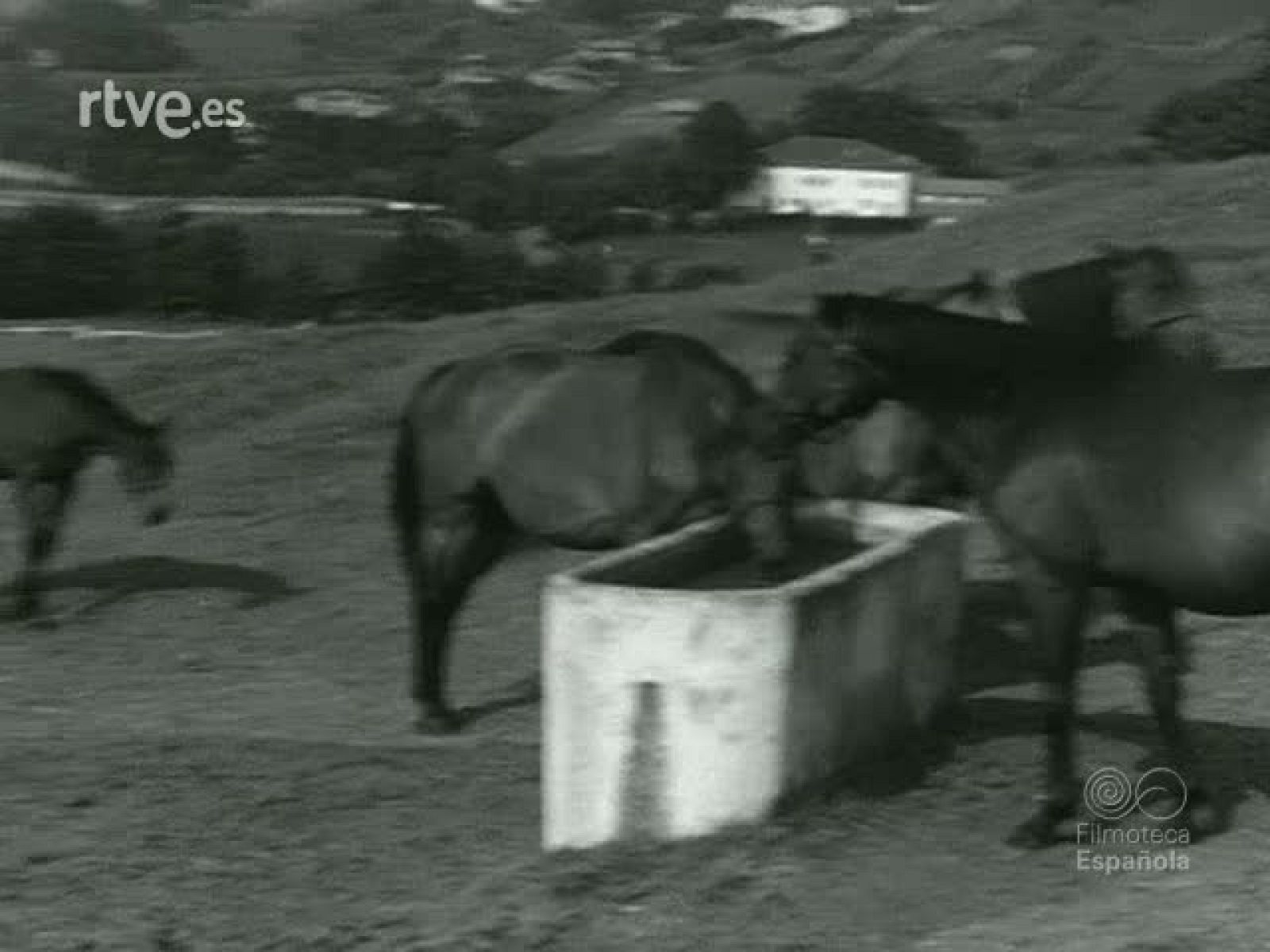 NOT N 872 A - NO-DO | Ver