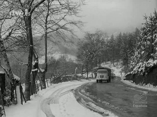 NO-DO - NOT N 1363 B