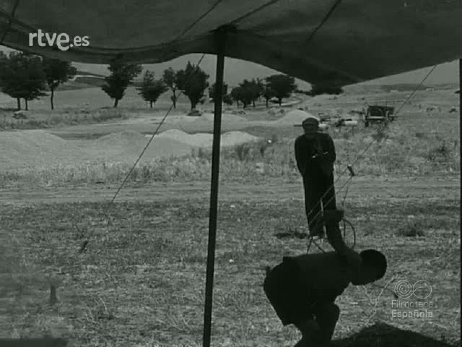 NOT N 872 B - NO-DO | Ver