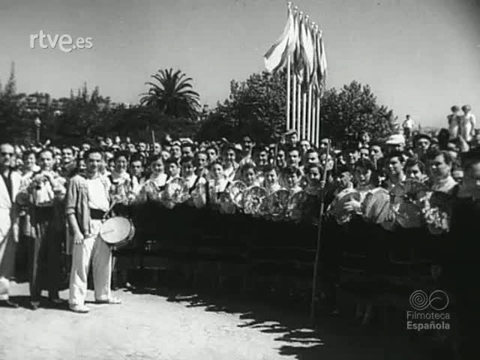 NOT N 556 A - NO-DO | Ver