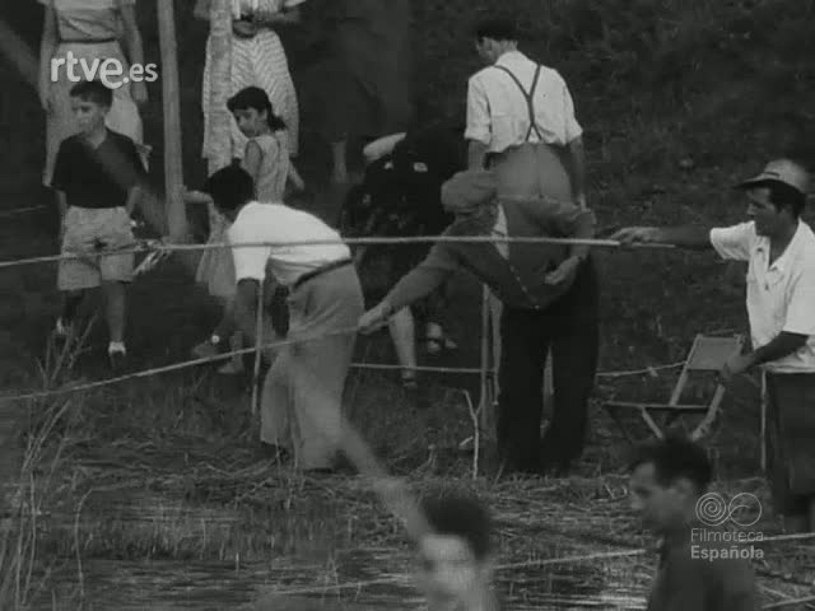 NOT N 556 B - NO-DO | Ver