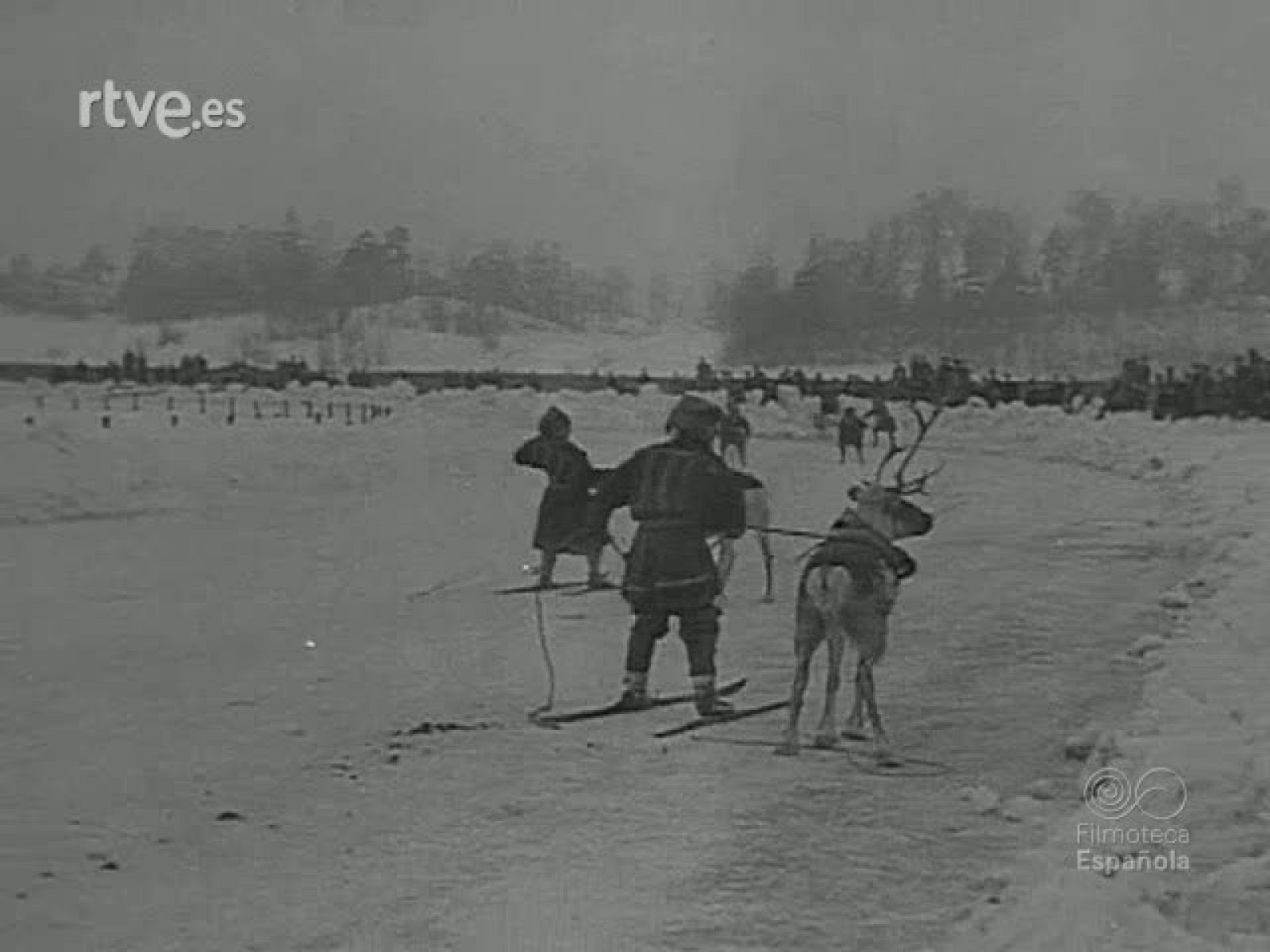 NOT N 430 A - NO-DO | Ver