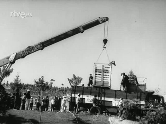 NO-DO - NOT N 1505 B