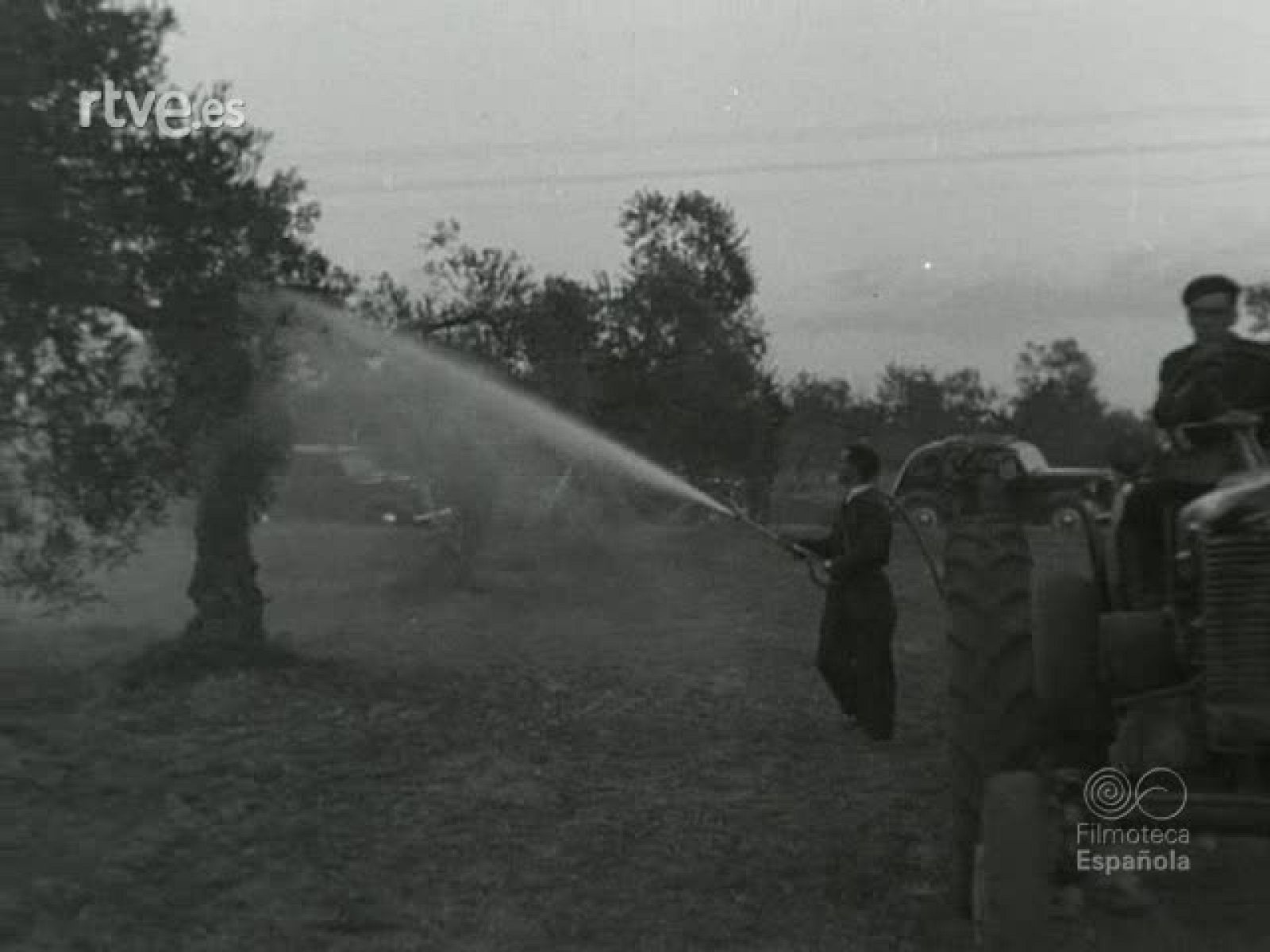 NOT N 412 A - NO-DO | Ver