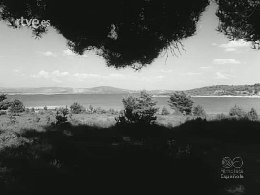 NO-DO - NOT N 1546 A