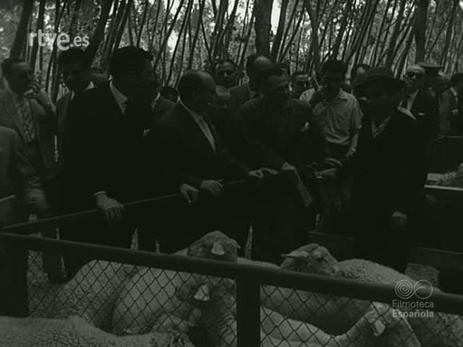 NOT N 960 A - NO-DO | Ver