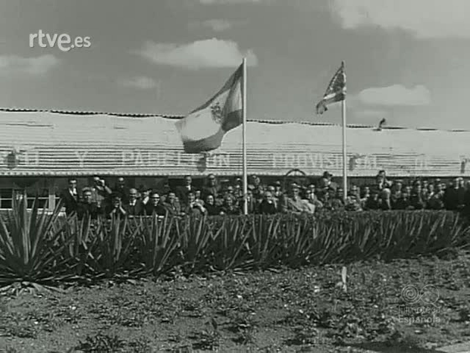 NOT N 999 C - NO-DO | Ver