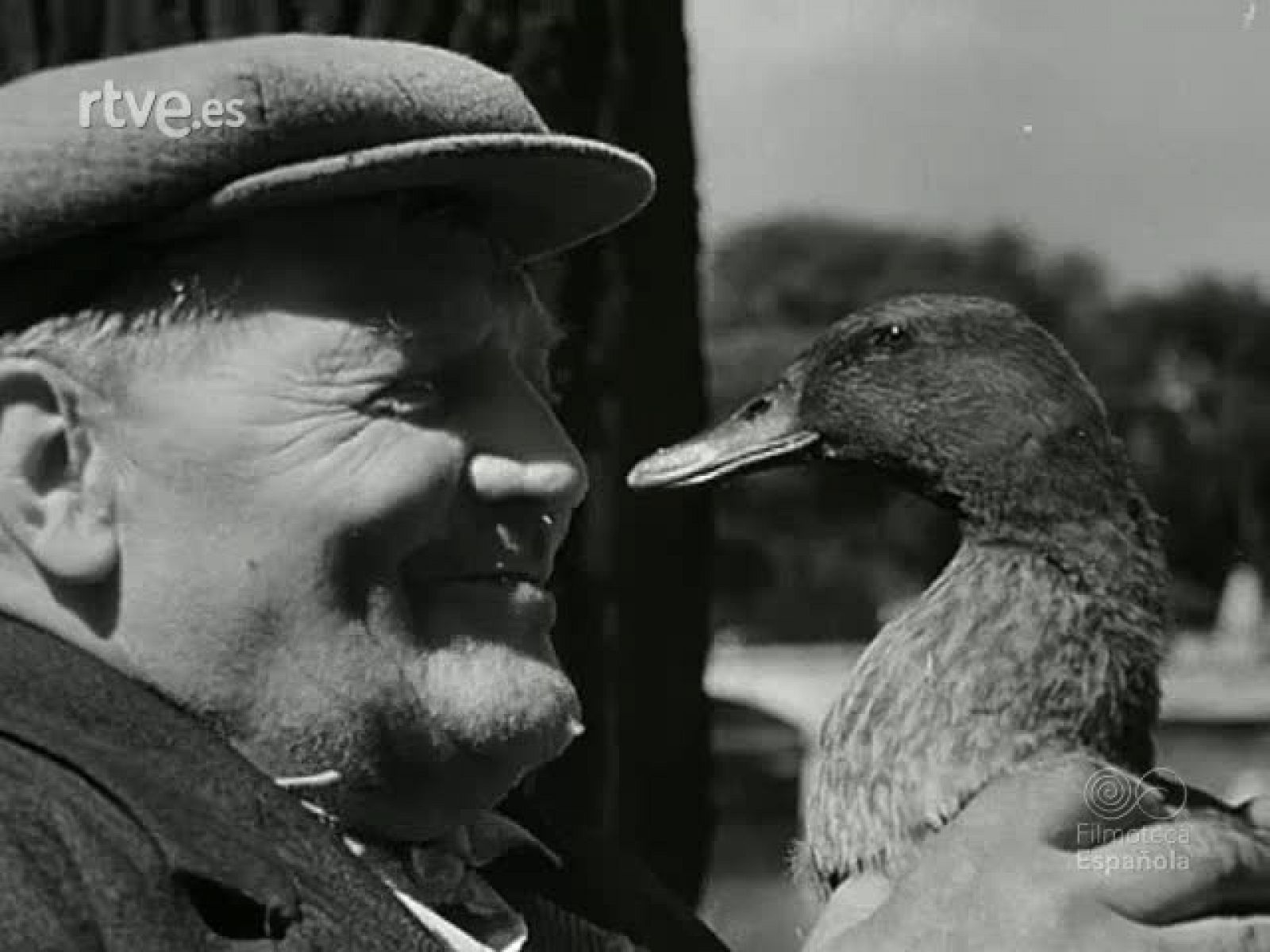 NOT N 441 A - NO-DO | Ver