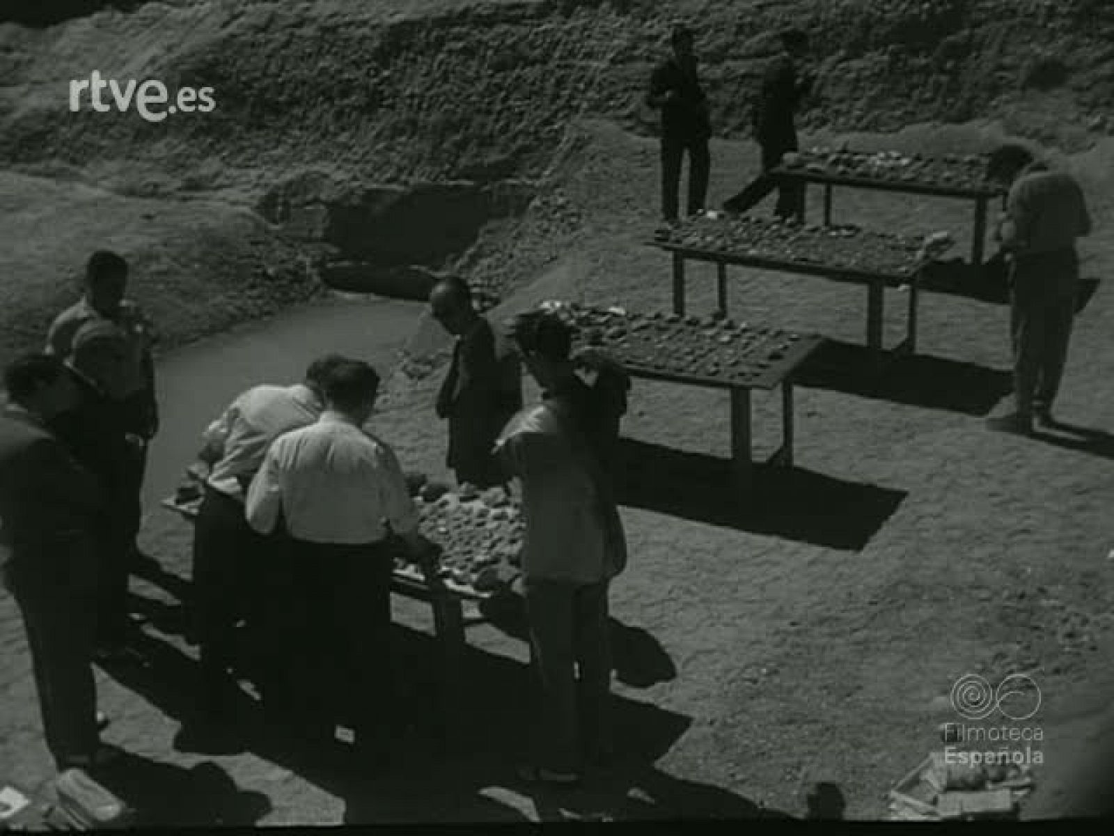 NOT N 767 A - NO-DO | Ver