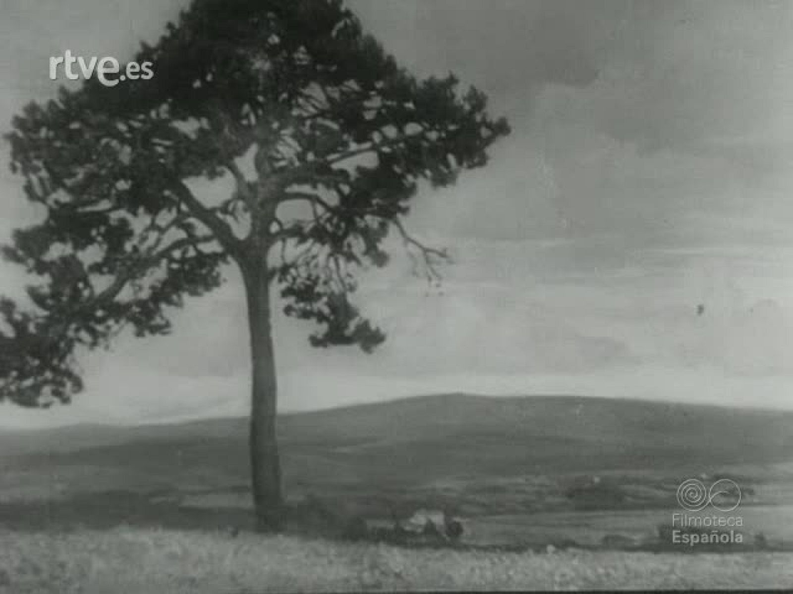 NOT N 123 B - NO-DO | Ver