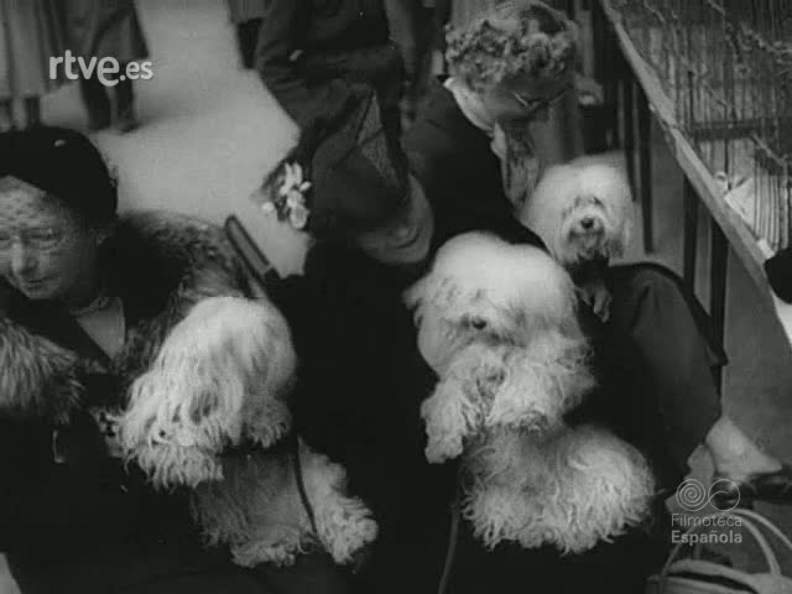 NOT N 541 B - NO-DO | Ver