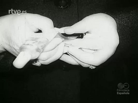 NO-DO - NOT N 1475 B