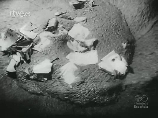 NO-DO - NOT N 1756 B