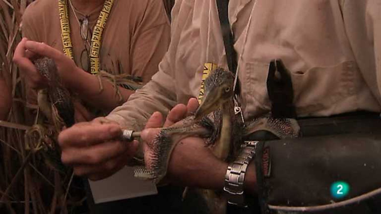 Biodiario - 22/07/12 - ver ahora