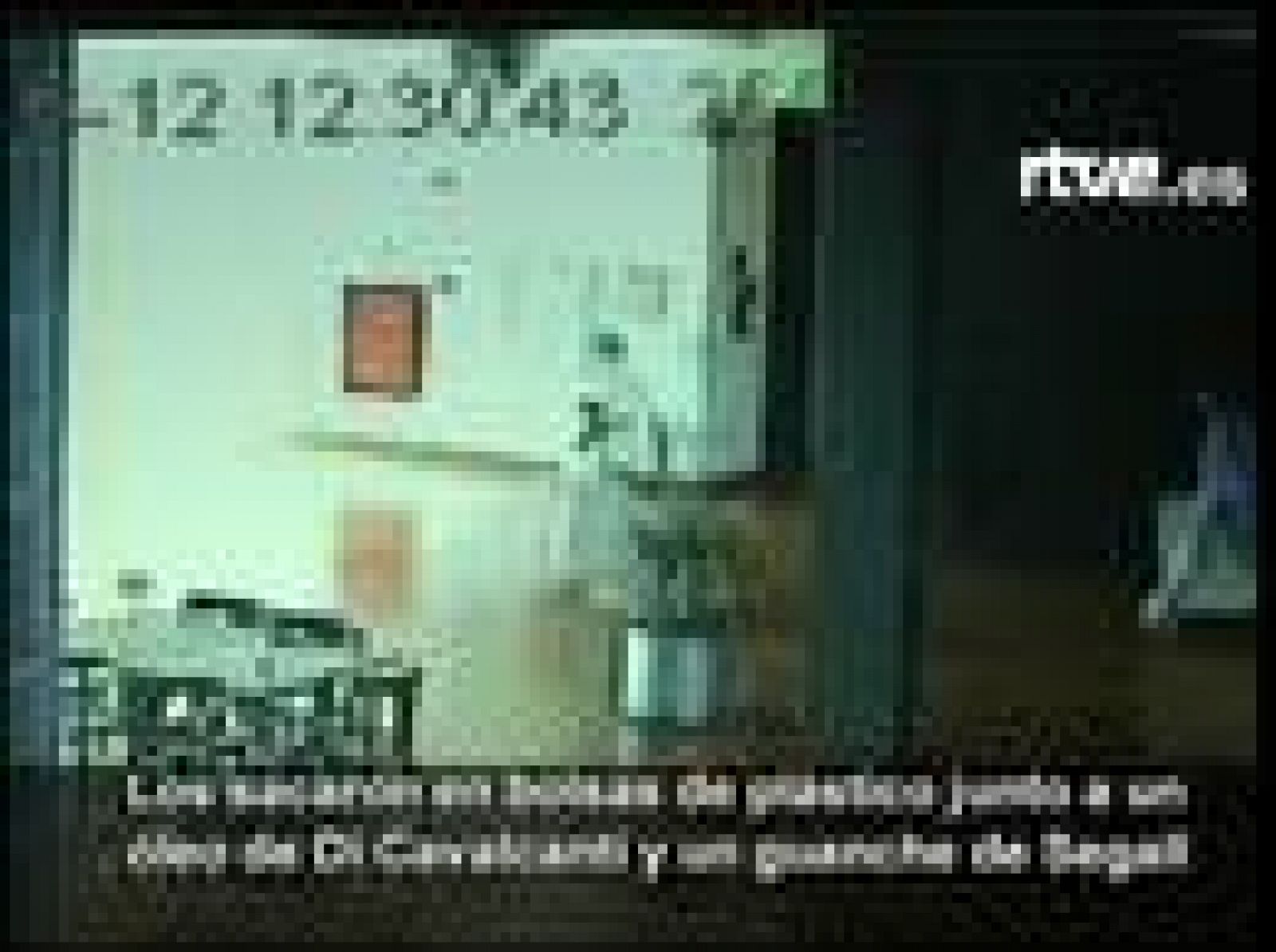 Sin programa: Ladrones de picassos, 'in fraganti' | RTVE Play