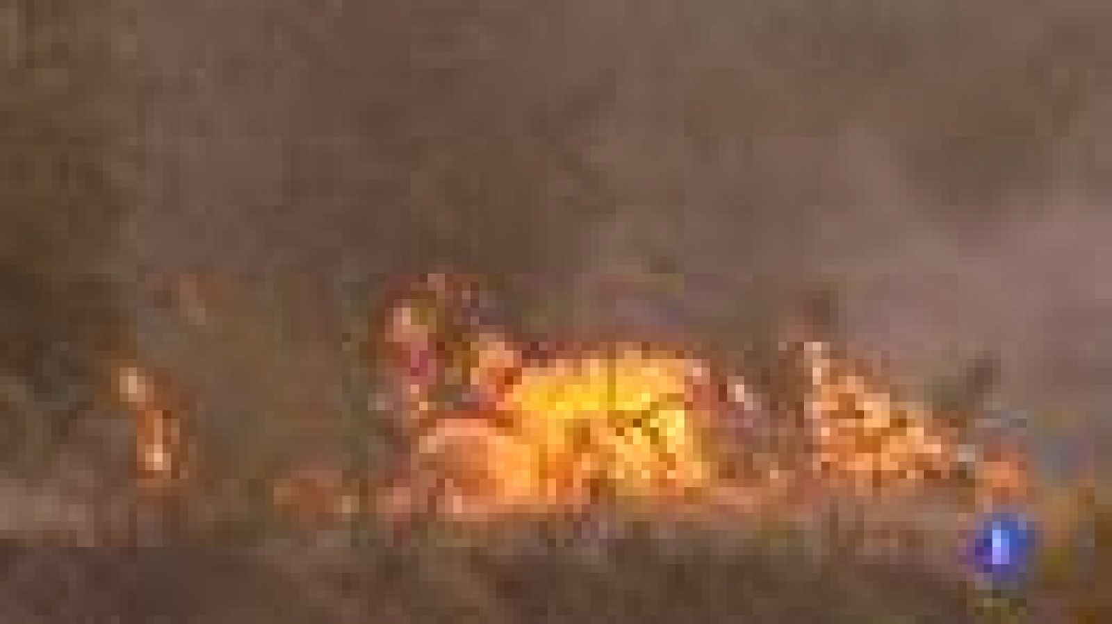 Dos colillas, el origen del incendio de la Jonquera