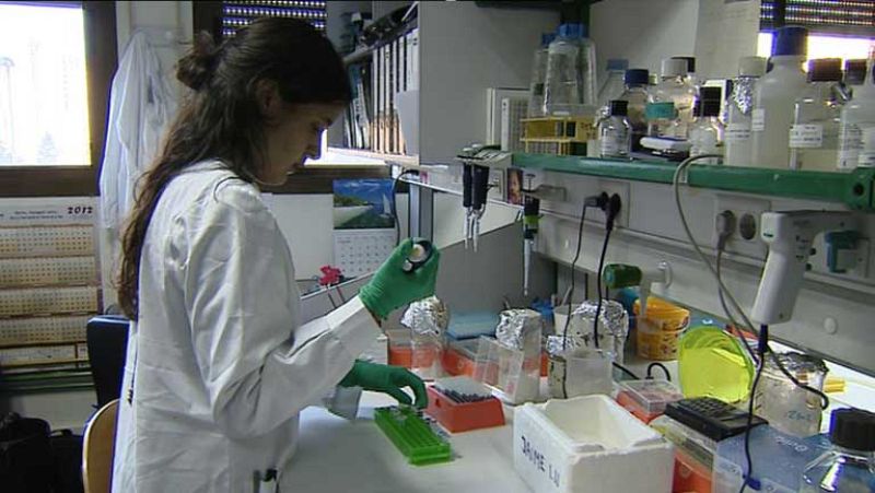 Cinco de cada diez españoles considera que la ética no es un obstáculo para la ciencia