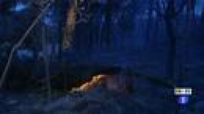 Telediario 1 - Lucha contra el fuego del Empordà