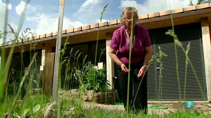 De museus - Museu de les trementinaires