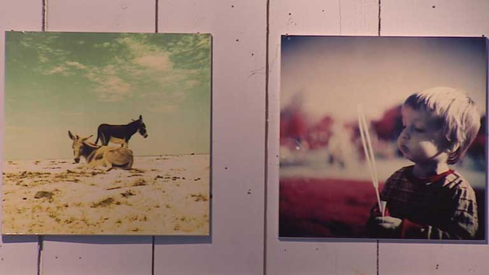 Las cámaras lomográficas saltan al cine