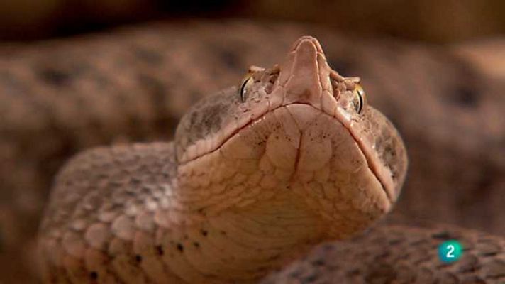 Biodiario - Biodiario - 24/07/12